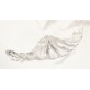 JT251 ELLIPSE LEAF 